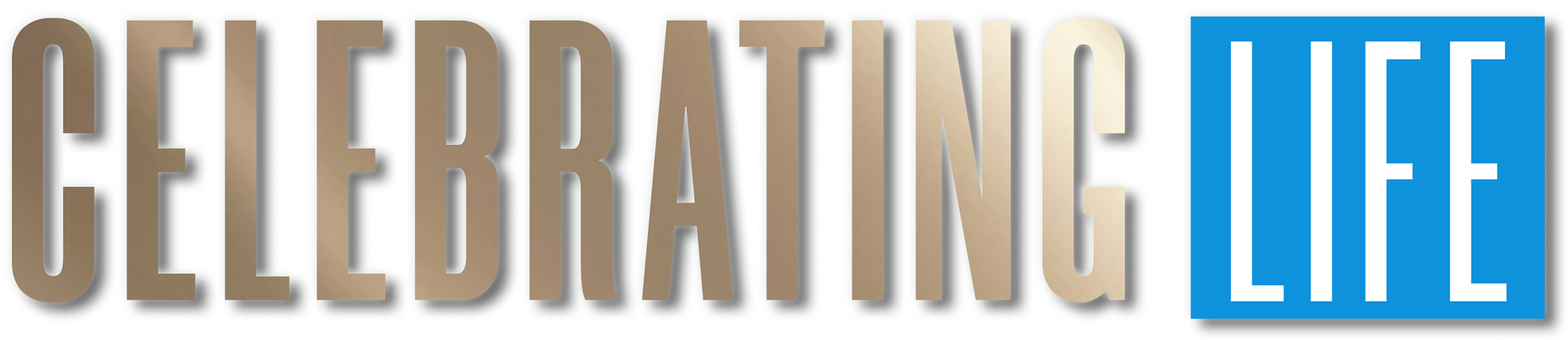 Rozhovor o GIYOU v časopisu Celebrating Life