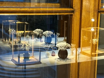 GIYOU květiny v okně Španělského sálu Pražského hradu