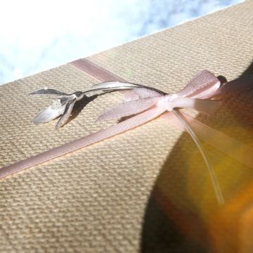 Stříbrná sněženka zdobí zabalený vánoční dárek