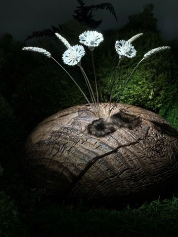 Vase Mesua ferrea with hole