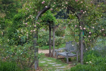 English garden with wooden bench