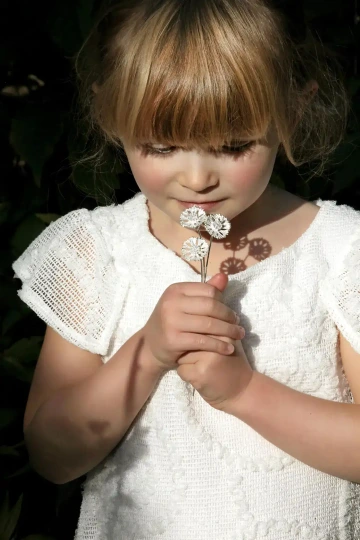 Pár stříbrných chrp v rukách dítěte, dárek k narození dítěte