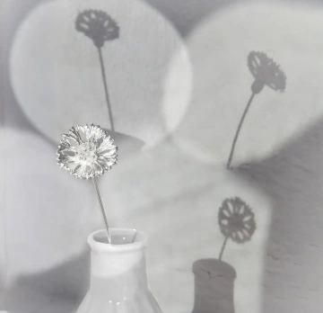 Jedna chrpa ze stříbra ve váze, originální dárek pro miminko