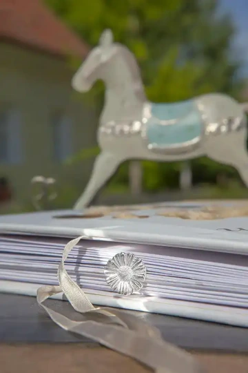 Stříbrná sedmikráska v dětském fotoalbu, dárek pro baby shower