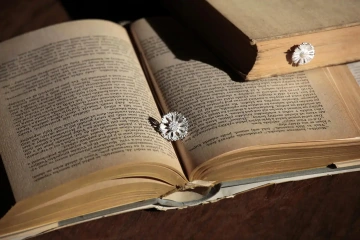 Stříbrná květina v knize pro štěstí