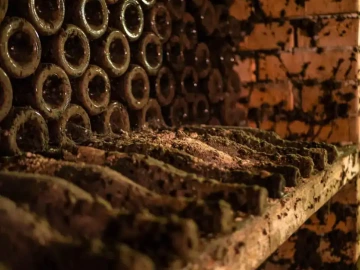 Stará archivní vína ve vinném sklepě, exkluzivní dárek pro muže