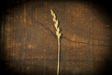 Tráva jílek GIYOU. Zlato 585/1000