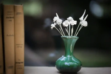 Kytice stříbrných květin v zelené váze vzniklá postupným sbíráním