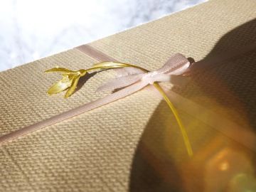 Snowdrop made of gold on a wrapped Christmas present