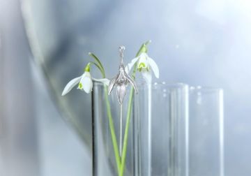 Silver snowdrop with live snowdrop in a vase