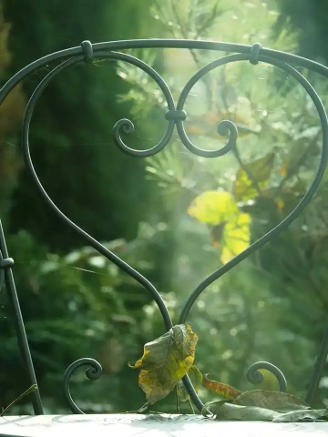 Chair in garden of GIYOU showroom