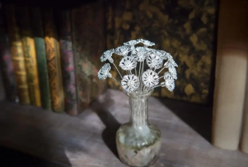 Bouquet of silver cornflowers GIYOU in the library for Hanukkah gift