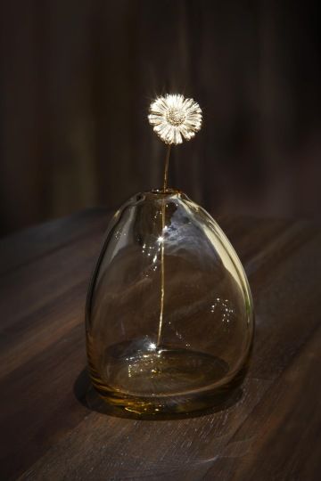Golden daisy in a glass vase
