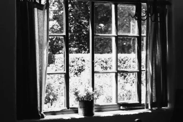 Window to the garden