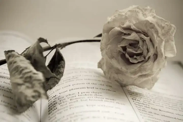 Kniha s básněmi s položenou růží k Valentýnu