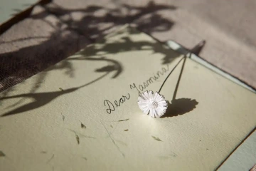 A silver daisy placed on a letter, an anniversary gift for both of you in an anniversary vase