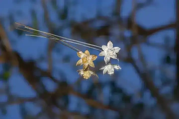 Ležící stříbrný a zlatý narcis, dárek pro ženu k 40. narozeninám