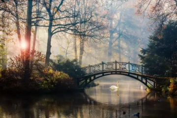 Romantický most s říčkou a labutí, romantický dárek pro náročné