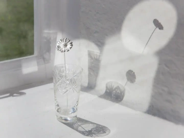 GIYOU silver daisy in a vase on window. A gift for a new mother