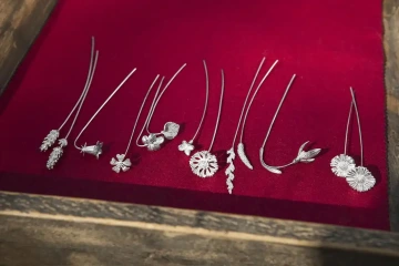 Položené druhy GIYOU květin na červeném sametu