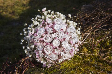 Stříbrná kytice GIYOU - luční mix s růžovými a bílými květy