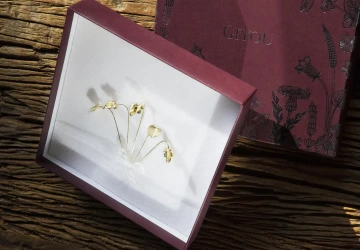 Golden violets in a gift box as a Christmas gift