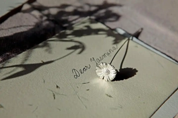 GIYOU silver daisy on Christmas wishes for customers