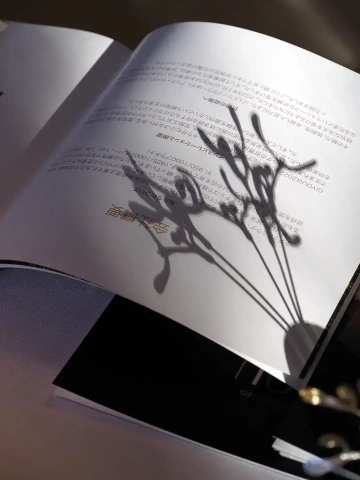 Mistletoe shadow on a Japanese brochure in Tokyo