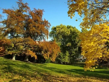 Zahrada Kinských, Praha