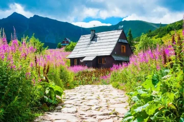 Chalupa v létě na horách
