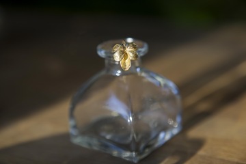 Golden violet in a vase
